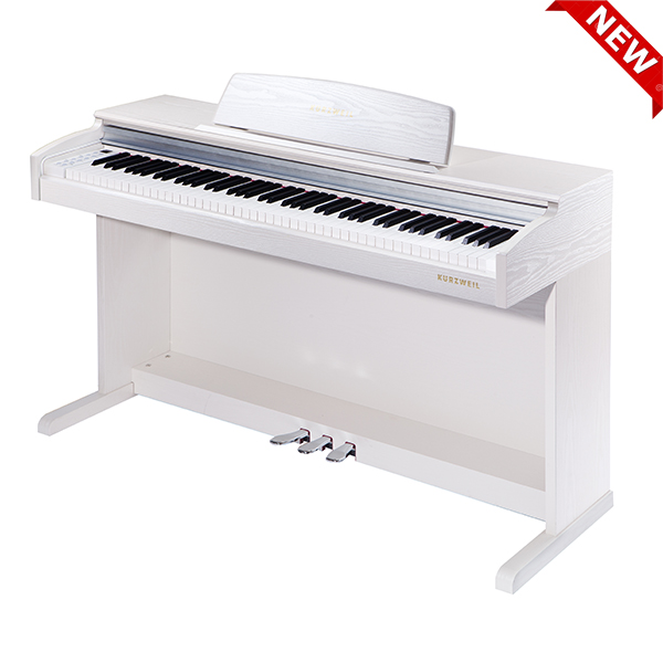 Music City – Tổng Kho Piano, Guitar, Organ | Dịch Vụ Giáo Dục Âm Nhạc