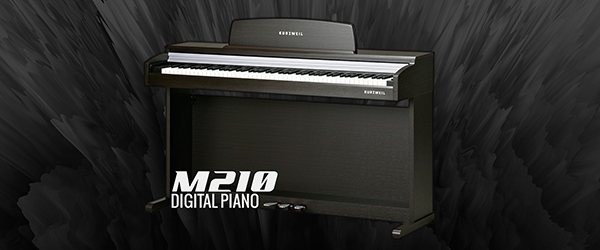 Music City – Tổng Kho Piano, Guitar, Organ | Dịch Vụ Giáo Dục Âm Nhạc