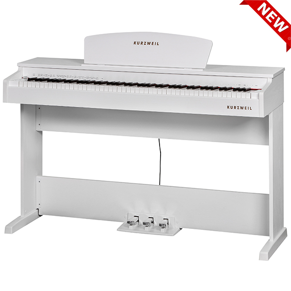 Music City – Tổng Kho Piano, Guitar, Organ | Dịch Vụ Giáo Dục Âm Nhạc