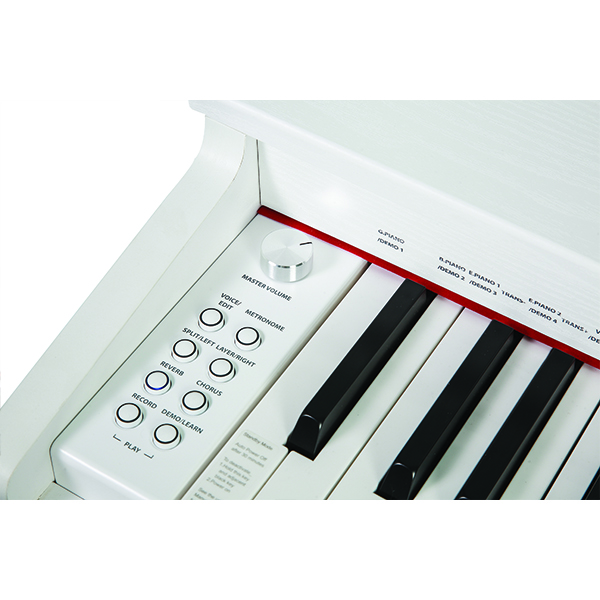 Music City – Tổng Kho Piano, Guitar, Organ | Dịch Vụ Giáo Dục Âm Nhạc