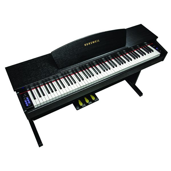 Music City – Tổng Kho Piano, Guitar, Organ | Dịch Vụ Giáo Dục Âm Nhạc