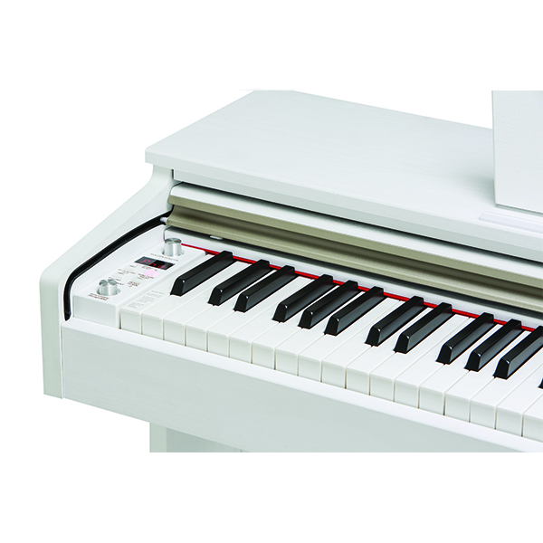 Music City – Tổng Kho Piano, Guitar, Organ | Dịch Vụ Giáo Dục Âm Nhạc