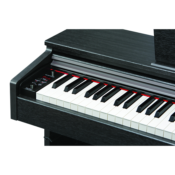 Music City – Tổng Kho Piano, Guitar, Organ | Dịch Vụ Giáo Dục Âm Nhạc
