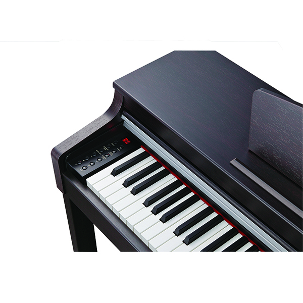Music City – Tổng Kho Piano, Guitar, Organ | Dịch Vụ Giáo Dục Âm Nhạc