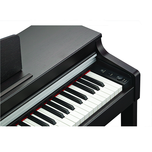 Music City – Tổng Kho Piano, Guitar, Organ | Dịch Vụ Giáo Dục Âm Nhạc