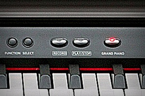 Music City – Tổng Kho Piano, Guitar, Organ | Dịch Vụ Giáo Dục Âm Nhạc