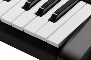 Music City – Tổng Kho Piano, Guitar, Organ | Dịch Vụ Giáo Dục Âm Nhạc