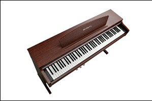 Music City – Tổng Kho Piano, Guitar, Organ | Dịch Vụ Giáo Dục Âm Nhạc