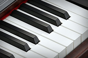 Music City – Tổng Kho Piano, Guitar, Organ | Dịch Vụ Giáo Dục Âm Nhạc