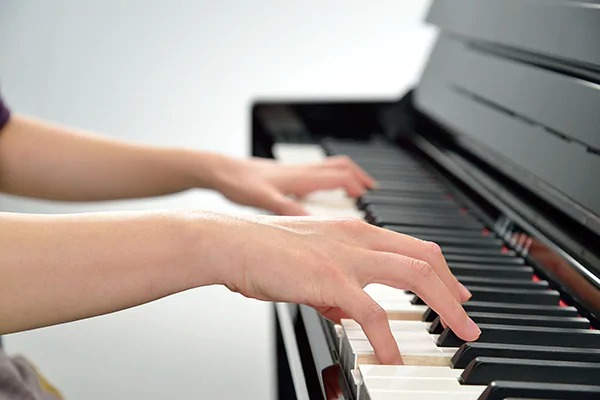 Music City – Tổng Kho Piano, Guitar, Organ | Dịch Vụ Giáo Dục Âm Nhạc