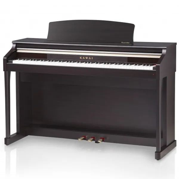 Music City – Tổng Kho Piano, Guitar, Organ | Dịch Vụ Giáo Dục Âm Nhạc