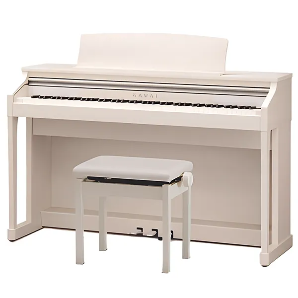 Music City – Tổng Kho Piano, Guitar, Organ | Dịch Vụ Giáo Dục Âm Nhạc