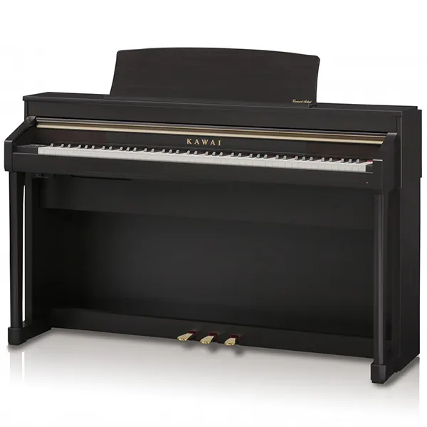 Music City – Tổng Kho Piano, Guitar, Organ | Dịch Vụ Giáo Dục Âm Nhạc