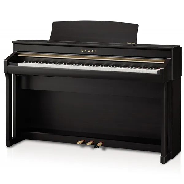 Music City – Tổng Kho Piano, Guitar, Organ | Dịch Vụ Giáo Dục Âm Nhạc