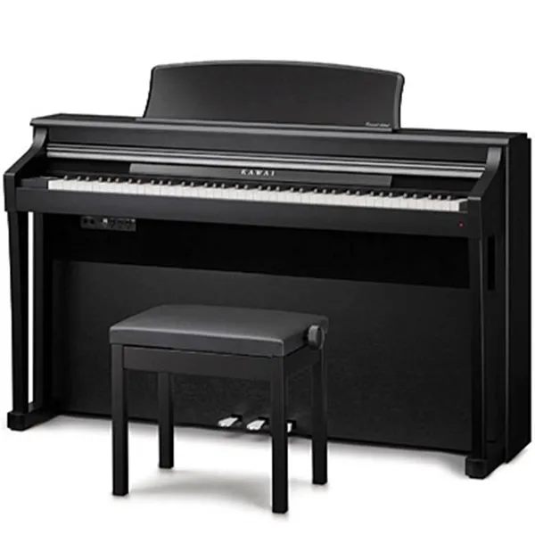 Music City – Tổng Kho Piano, Guitar, Organ | Dịch Vụ Giáo Dục Âm Nhạc