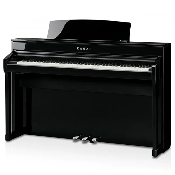 Music City – Tổng Kho Piano, Guitar, Organ | Dịch Vụ Giáo Dục Âm Nhạc