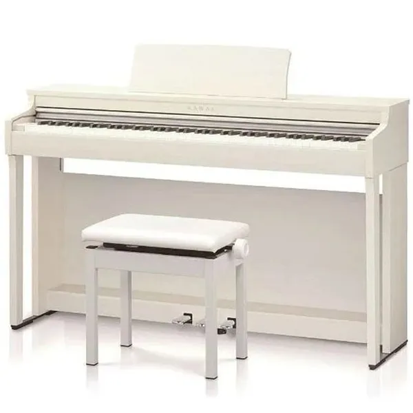 Music City – Tổng Kho Piano, Guitar, Organ | Dịch Vụ Giáo Dục Âm Nhạc