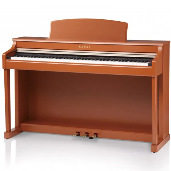 Music City – Tổng Kho Piano, Guitar, Organ | Dịch Vụ Giáo Dục Âm Nhạc