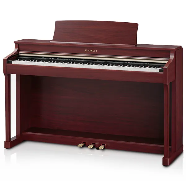 Music City – Tổng Kho Piano, Guitar, Organ | Dịch Vụ Giáo Dục Âm Nhạc