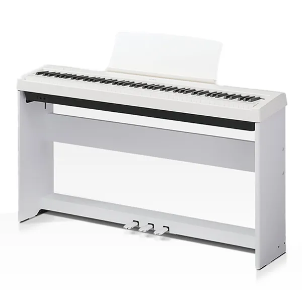 Music City – Tổng Kho Piano, Guitar, Organ | Dịch Vụ Giáo Dục Âm Nhạc