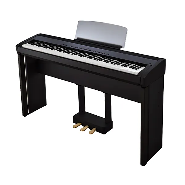 Music City – Tổng Kho Piano, Guitar, Organ | Dịch Vụ Giáo Dục Âm Nhạc