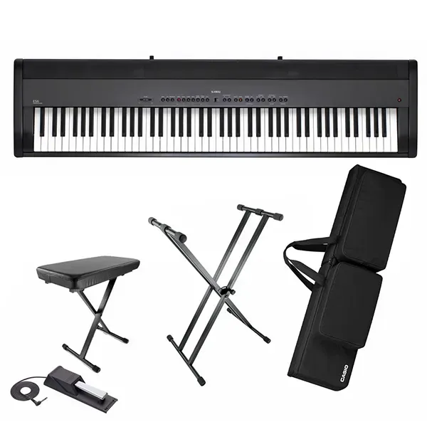 Music City – Tổng Kho Piano, Guitar, Organ | Dịch Vụ Giáo Dục Âm Nhạc