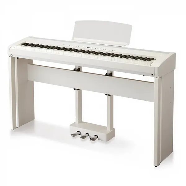 Music City – Tổng Kho Piano, Guitar, Organ | Dịch Vụ Giáo Dục Âm Nhạc