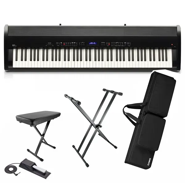 Music City – Tổng Kho Piano, Guitar, Organ | Dịch Vụ Giáo Dục Âm Nhạc