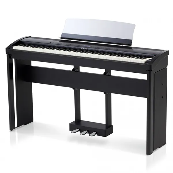 Music City – Tổng Kho Piano, Guitar, Organ | Dịch Vụ Giáo Dục Âm Nhạc