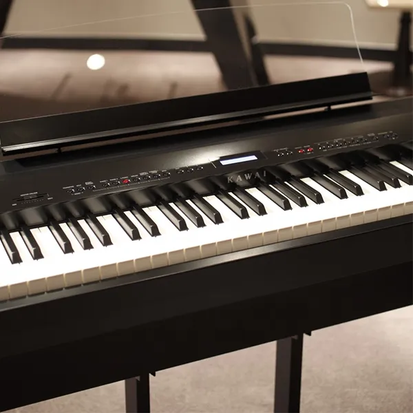 Music City – Tổng Kho Piano, Guitar, Organ | Dịch Vụ Giáo Dục Âm Nhạc