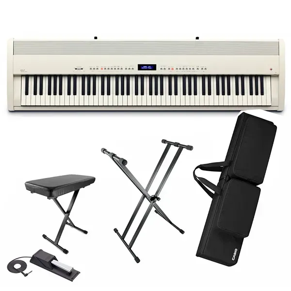 Music City – Tổng Kho Piano, Guitar, Organ | Dịch Vụ Giáo Dục Âm Nhạc