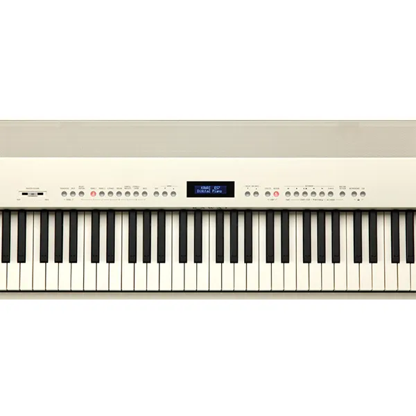 Music City – Tổng Kho Piano, Guitar, Organ | Dịch Vụ Giáo Dục Âm Nhạc
