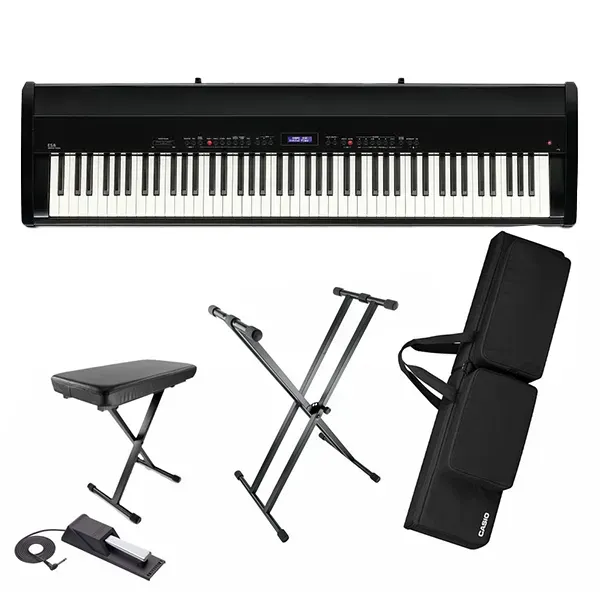 Music City – Tổng Kho Piano, Guitar, Organ | Dịch Vụ Giáo Dục Âm Nhạc