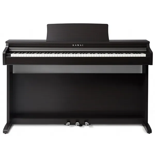 Music City – Tổng Kho Piano, Guitar, Organ | Dịch Vụ Giáo Dục Âm Nhạc