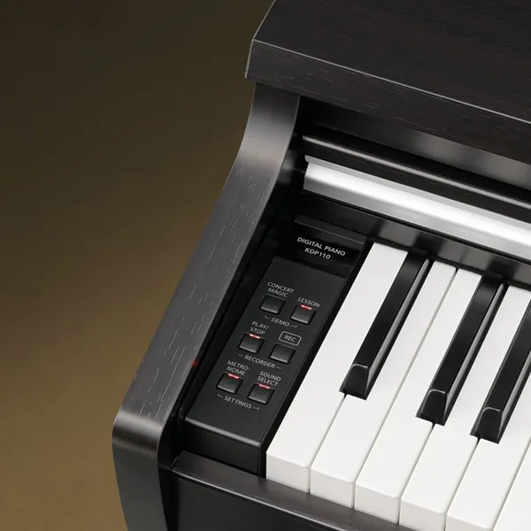 Music City – Tổng Kho Piano, Guitar, Organ | Dịch Vụ Giáo Dục Âm Nhạc