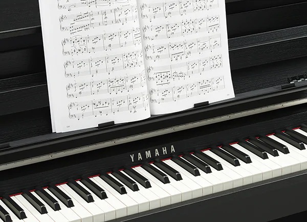 Music City – Tổng Kho Piano, Guitar, Organ | Dịch Vụ Giáo Dục Âm Nhạc