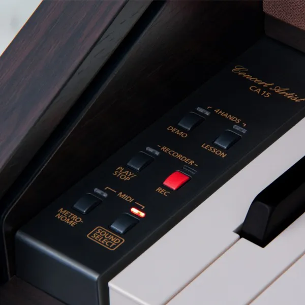 Music City – Tổng Kho Piano, Guitar, Organ | Dịch Vụ Giáo Dục Âm Nhạc