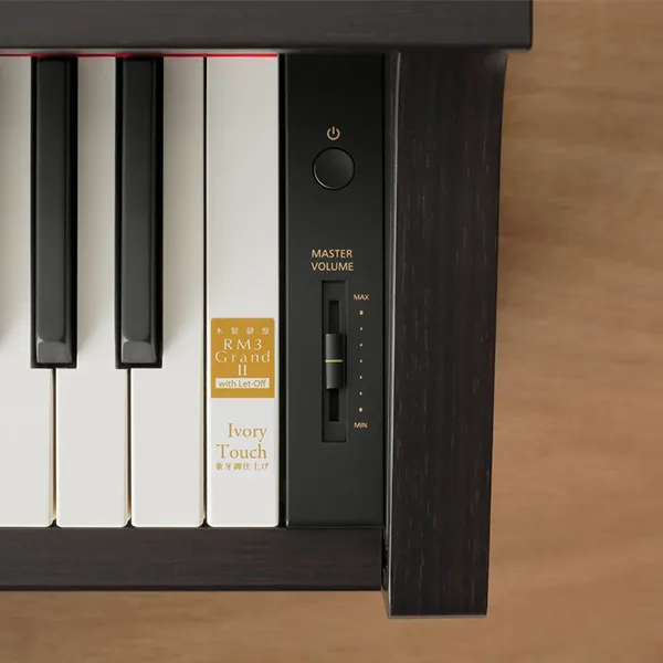Music City – Tổng Kho Piano, Guitar, Organ | Dịch Vụ Giáo Dục Âm Nhạc