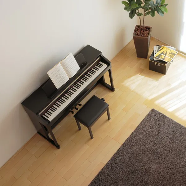 Music City – Tổng Kho Piano, Guitar, Organ | Dịch Vụ Giáo Dục Âm Nhạc