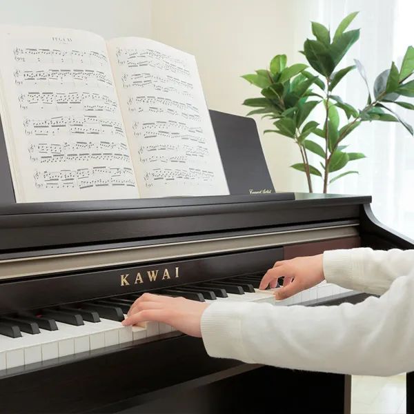 Music City – Tổng Kho Piano, Guitar, Organ | Dịch Vụ Giáo Dục Âm Nhạc