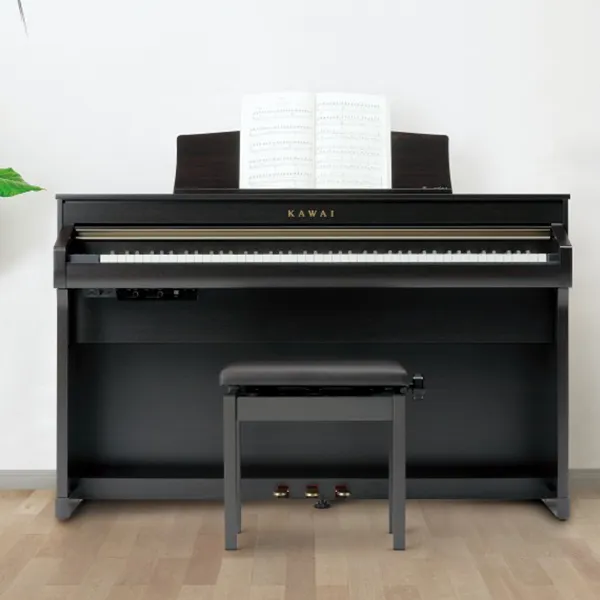 Music City – Tổng Kho Piano, Guitar, Organ | Dịch Vụ Giáo Dục Âm Nhạc
