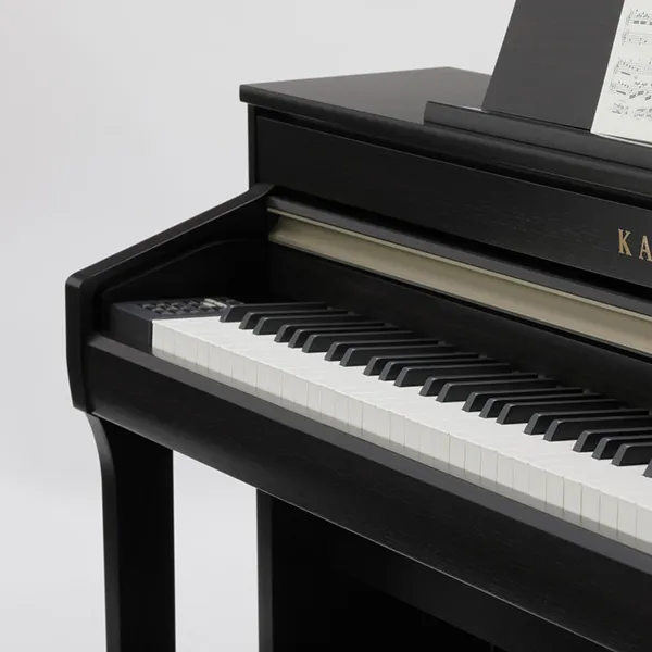 Music City – Tổng Kho Piano, Guitar, Organ | Dịch Vụ Giáo Dục Âm Nhạc