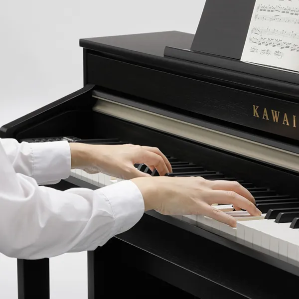 Music City – Tổng Kho Piano, Guitar, Organ | Dịch Vụ Giáo Dục Âm Nhạc