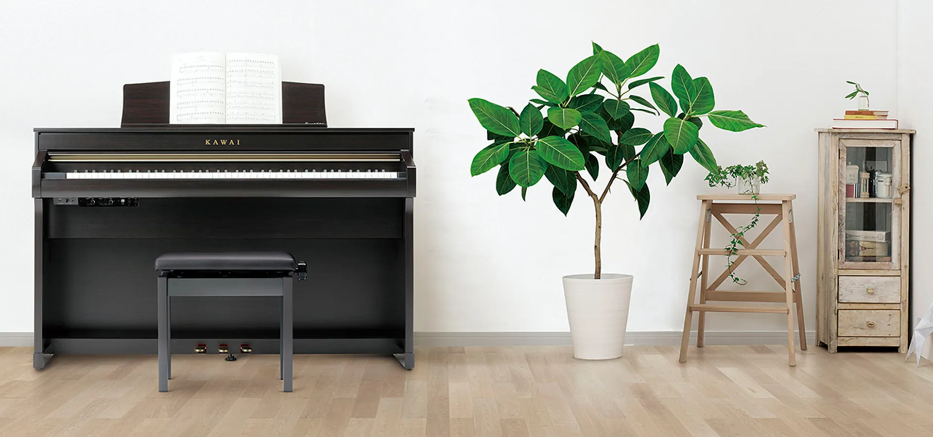 Music City – Tổng Kho Piano, Guitar, Organ | Dịch Vụ Giáo Dục Âm Nhạc