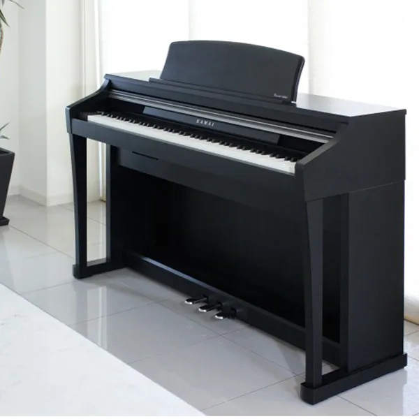 Music City – Tổng Kho Piano, Guitar, Organ | Dịch Vụ Giáo Dục Âm Nhạc