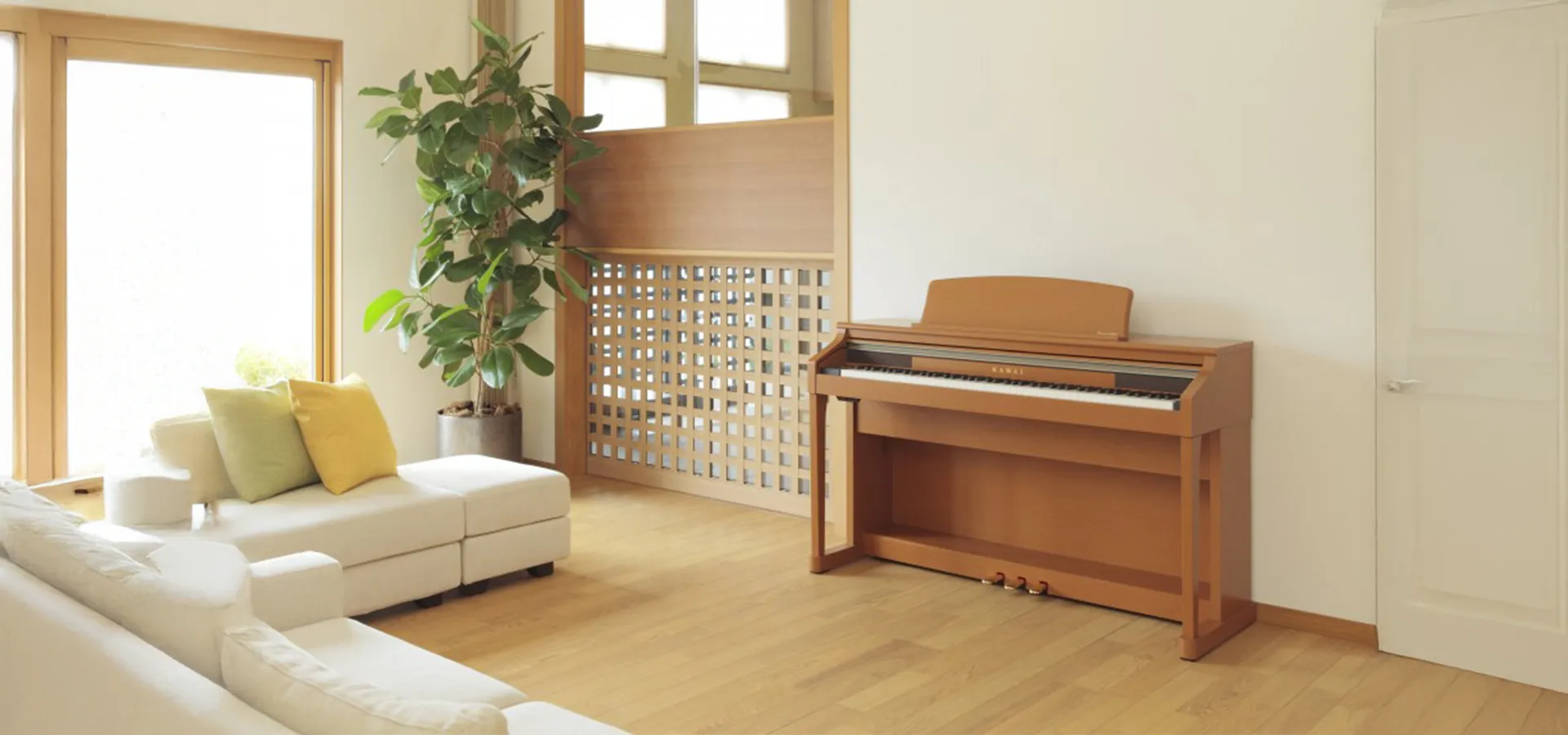 Music City – Tổng Kho Piano, Guitar, Organ | Dịch Vụ Giáo Dục Âm Nhạc