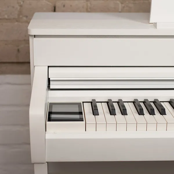 Music City – Tổng Kho Piano, Guitar, Organ | Dịch Vụ Giáo Dục Âm Nhạc
