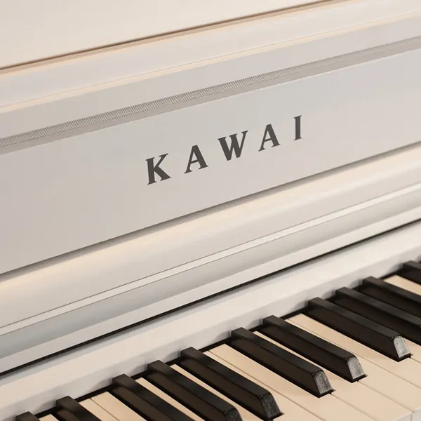 Music City – Tổng Kho Piano, Guitar, Organ | Dịch Vụ Giáo Dục Âm Nhạc
