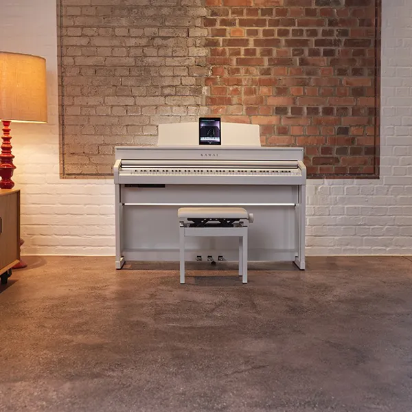 Music City – Tổng Kho Piano, Guitar, Organ | Dịch Vụ Giáo Dục Âm Nhạc