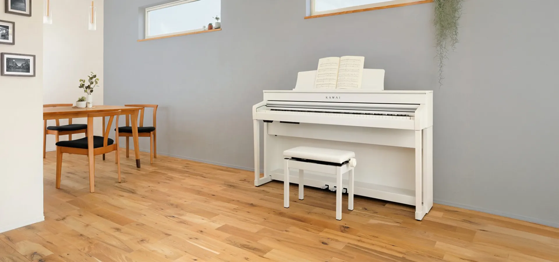 Music City – Tổng Kho Piano, Guitar, Organ | Dịch Vụ Giáo Dục Âm Nhạc